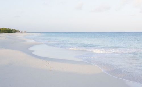 Aruba spiaggia bianca e deserta