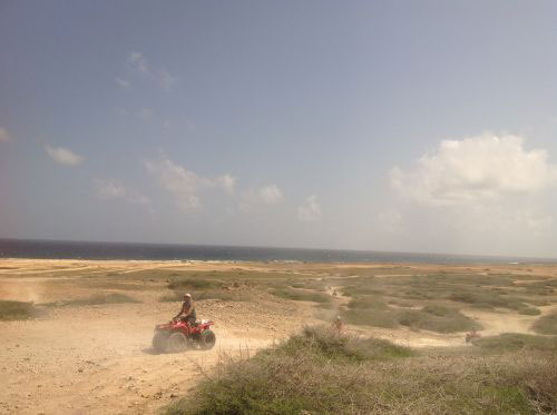 Arurba corse sulla spiaggia-foto cinzia colzi
