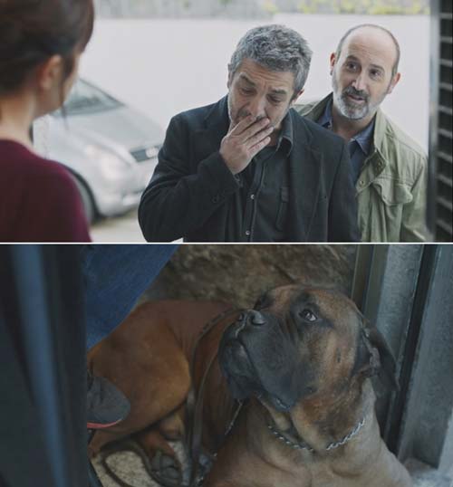 Truman un amico vero e per sempre 3