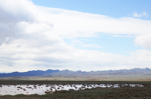 10 kazakhstan nella steppa dopo il temporale-foto donata brugioni