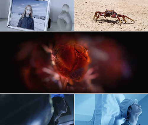 Ma ma tutto andra bene 4