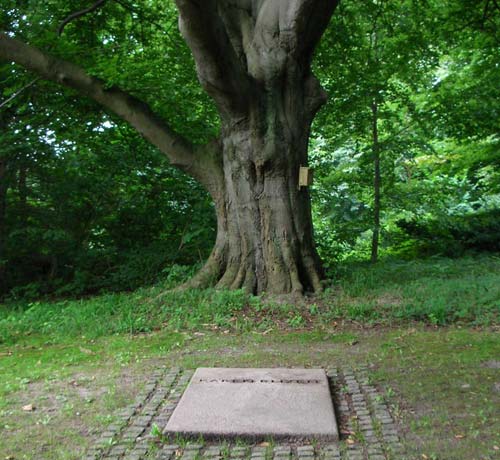6 tomba di karen blixen nel parco di rungstedlund-foto donata brugioni