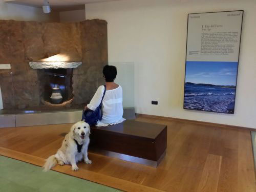 2 museo archeologico piombino foto stefano regio