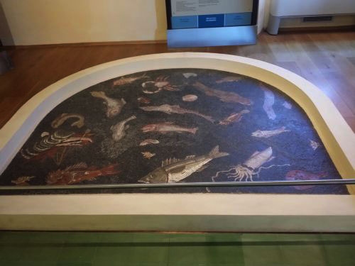 3 museo archeologico piombino foto stefano regio