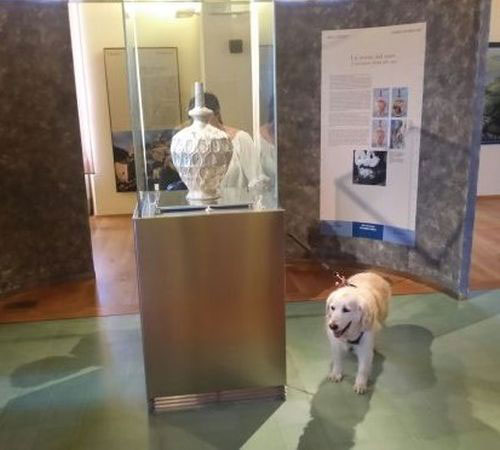 4 museo archeologico piombino foto stefano regio