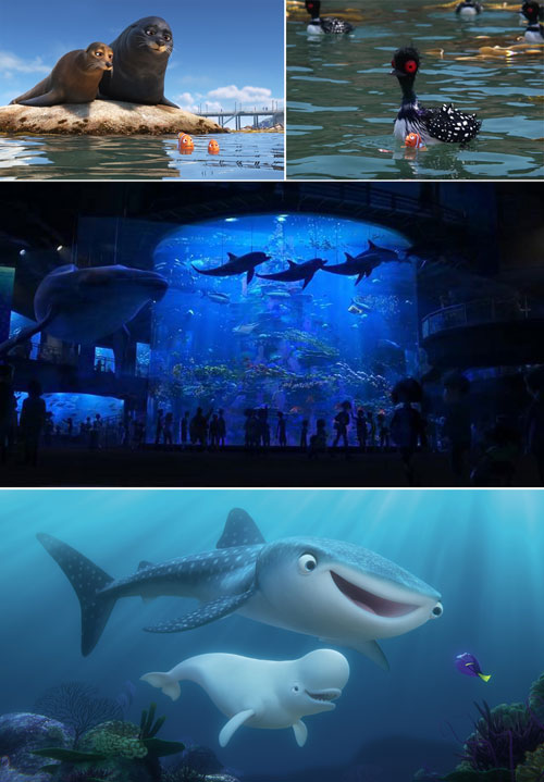 Alla ricerca di dory 5