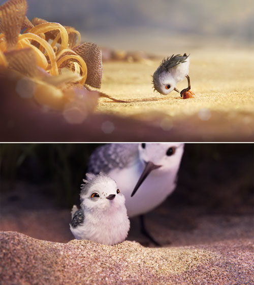 Alla ricerca di dory 6 piper