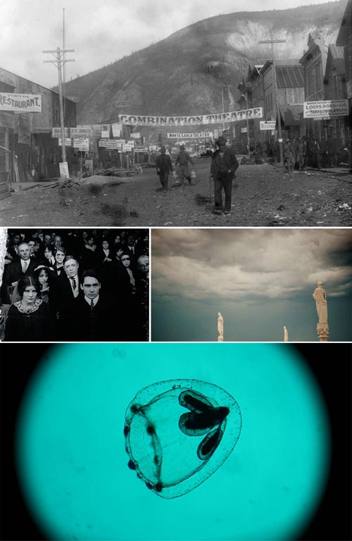 Venezia 73 09 dawson city spira mirabilis