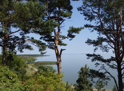 2 la laguna dei curi da nida-foto donata brugioni