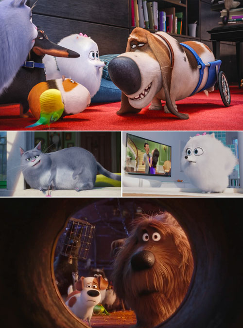 Pets vita da animali 5