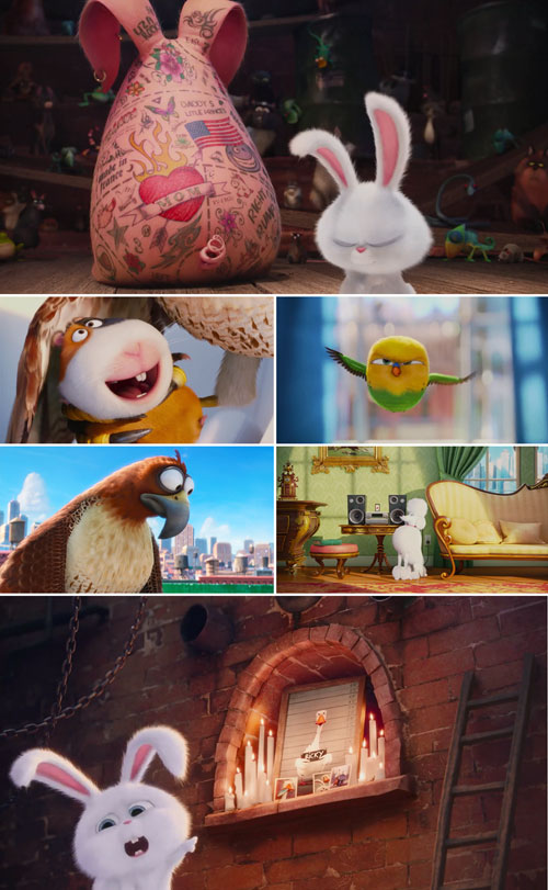 Pets vita da animali 7