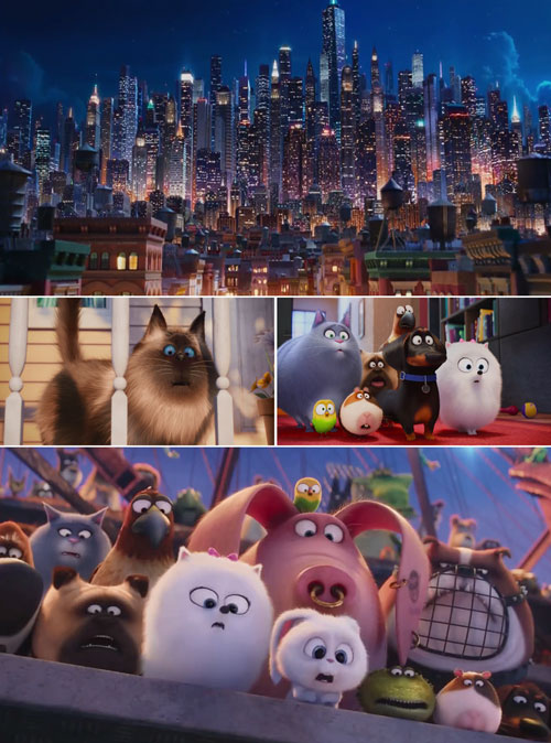 Pets vita da animali 8