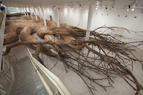 Oliveira transarquitetonica everton ballardin