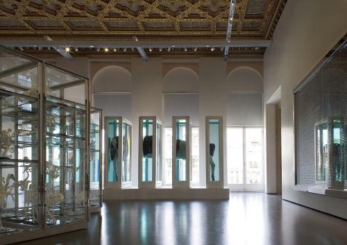 Installation view from the exhibition Where Are We Going, Palazzo Grassi 2006 Damien Hirst Where Are We Going ? Where Do We Come From ? Is There a Reason ?, 2000-2004 Glass and Stainless steel cabinet with animal