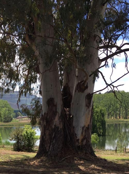 Uno scatto a Lake Naverone