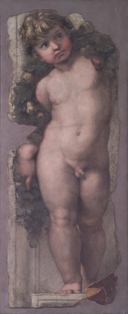 2 raffaello sanzio putto reggi-festone 1511