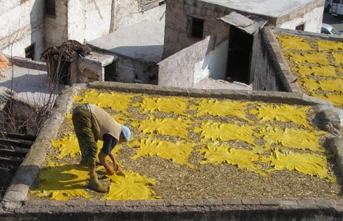 7 medina di fes conceria chouara-foto donata brugioni