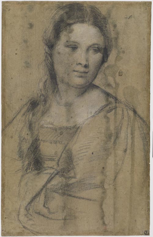 Tiziano Vecellio (Pieve di Cadore, 1485/90 ca. - Venezia 1586), Studio di giovane donna,