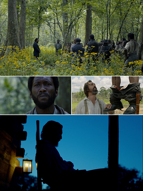 Free state of jones 5