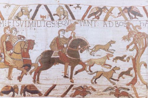 Particolare arazzo di bayeux aroldo con il falcone preceduto da una muta di cani