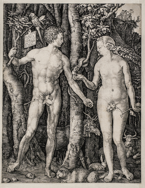Albrecht Dürer, Adamo ed Eva, 1504,