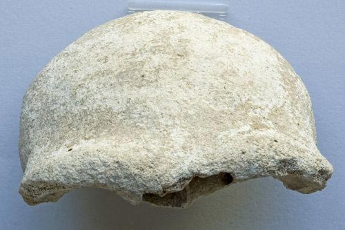 4-osso-frontale-homo-neanderthalensis