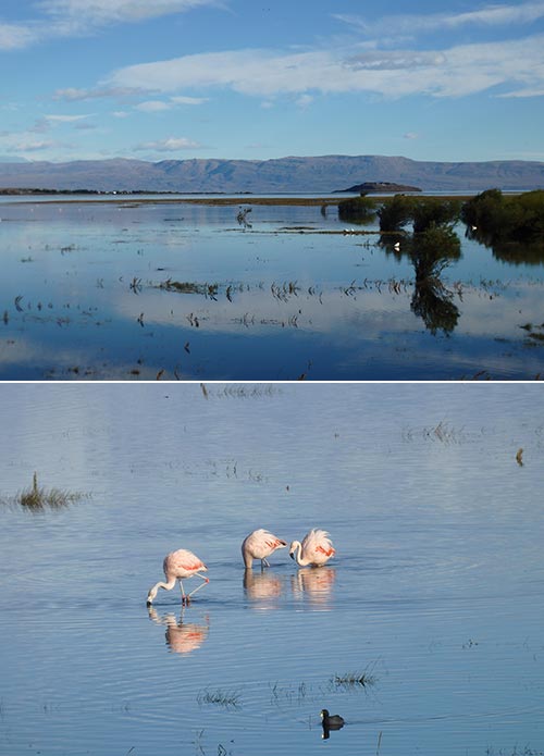 6 nell oasi naturalistica di el calafate foto donata brugioni