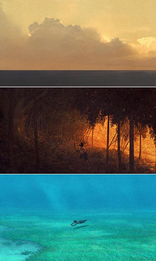 La tartaruga rossa 4 michael dudok de wit
