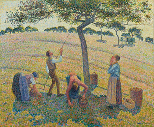 1 camille pissarro la raccolta delle mele 1887-1888