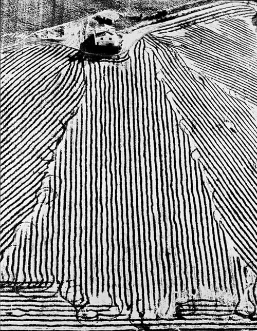 3 mario giacomelli serie presa di coscienza sulla natura 1955-84