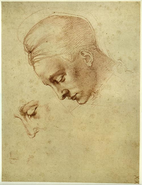 Leda firenze casa buonarroti
