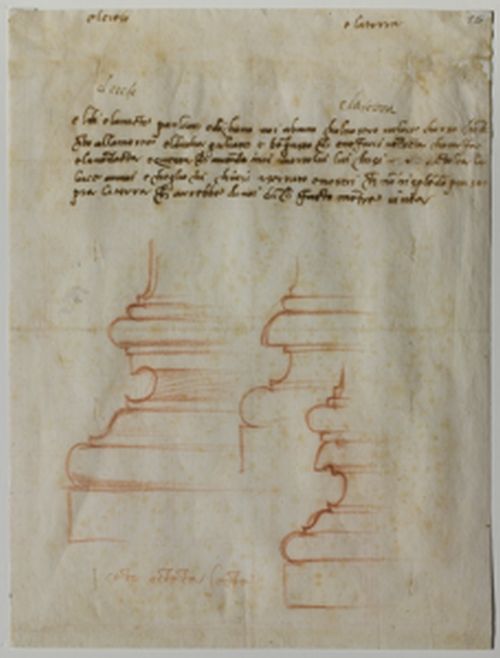 Michelangelo 10