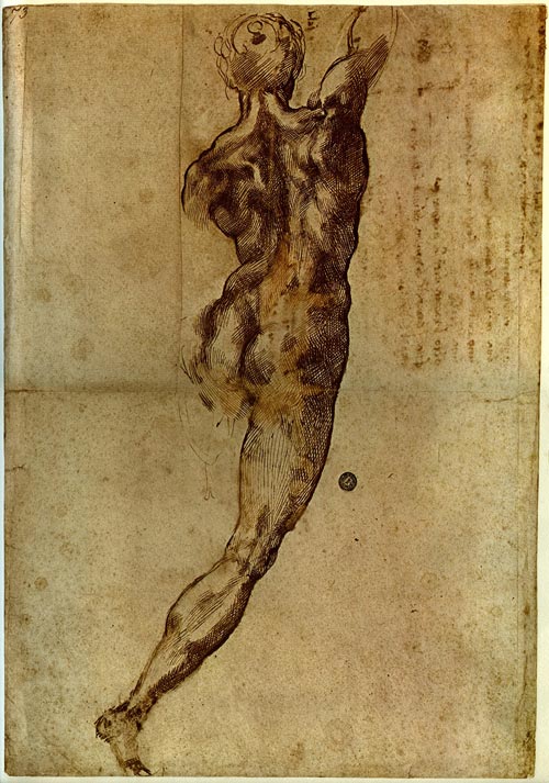 Nudo-di-schiena-firenze-casa-buonarroti-