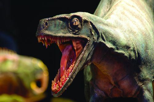 3 herrerasaurus ischigualastensis particolare