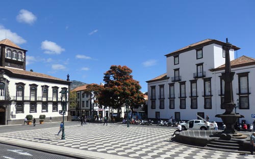 4 madeira funchal piazza del municipio foto donata brugioni