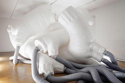 5 carlo-borer-white-heart