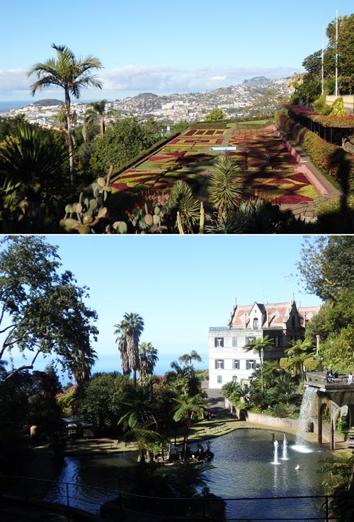 6 madeira orto botanico di funchal e jardim tropical monte palace foto donata brugioni
