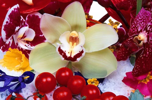 Marc Quinn, Thor in Nenga, 2009,