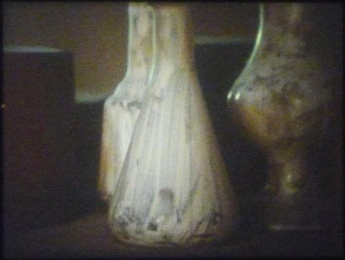 Morandi-dean6 tacita dean day for night foto fabio giuliani