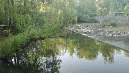 Paesaggio lariano
