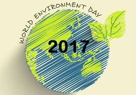Wed logo