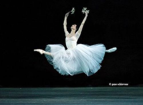 Svetlana-zachareva-giselle-foto-gene-schiavone 935