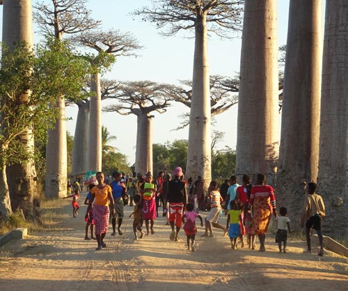 13 madagascar-foto donata brugioni
