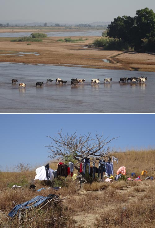 5 madagascar-foto donata brugioni